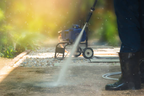 Best Roof Cleaning and Mildew Removal in South Fallsburg, NY